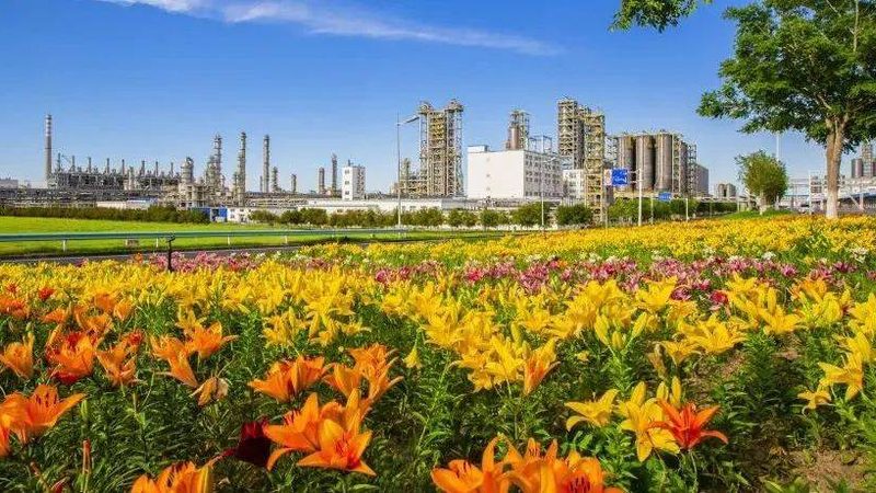 日化助剂原料：揭秘日化助剂原料厂家的核心竞争力